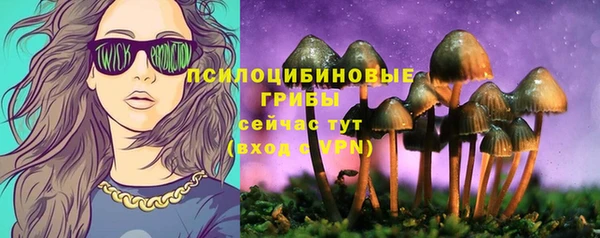 трава Заводоуковск